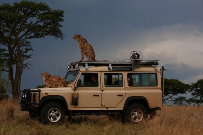 LAND ROVER DEFENDER