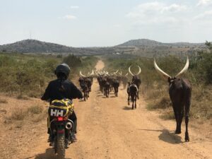Motorcycle Rentals in East Africa