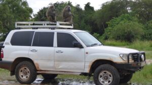 Car Hire Abidjan